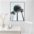 Picture of Palm Trees  _GroupedProduct_Rectangle_Portrait_Photography _GroupedProduct_Rectangle_Portrait_Canvas_Framed_