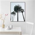 Picture of Palm Trees  _GroupedProduct_Rectangle_Portrait_Photography _GroupedProduct_Rectangle_Portrait_Canvas_Framed_