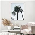 Picture of Palm Trees  _GroupedProduct_Rectangle_Portrait_Photography _GroupedProduct_Rectangle_Portrait_Canvas_Framed_