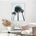 Picture of Palm Trees  _GroupedProduct_Rectangle_Portrait_Photography _GroupedProduct_Rectangle_Portrait_Canvas_Framed_