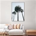 Picture of Palm Trees  _GroupedProduct_Rectangle_Portrait_Photography _GroupedProduct_Rectangle_Portrait_Canvas_Framed_