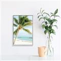 Picture of Palm Trees II _GroupedProduct_Rectangle_Portrait_Photography _GroupedProduct_Rectangle_Portrait_Canvas_Framed_