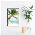Picture of Palm Trees II _GroupedProduct_Rectangle_Portrait_Photography _GroupedProduct_Rectangle_Portrait_Canvas_Framed_