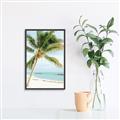 Picture of Palm Trees II _GroupedProduct_Rectangle_Portrait_Photography _GroupedProduct_Rectangle_Portrait_Canvas_Framed_