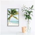 Picture of Palm Trees II _GroupedProduct_Rectangle_Portrait_Photography _GroupedProduct_Rectangle_Portrait_Canvas_Framed_