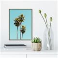 Picture of Palm Trees III _GroupedProduct_Rectangle_Portrait_Photography _GroupedProduct_Rectangle_Portrait_Canvas_Framed_