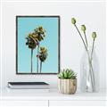 Picture of Palm Trees III _GroupedProduct_Rectangle_Portrait_Photography _GroupedProduct_Rectangle_Portrait_Canvas_Framed_