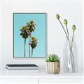 Picture of Palm Trees III _GroupedProduct_Rectangle_Portrait_Photography _GroupedProduct_Rectangle_Portrait_Canvas_Framed_