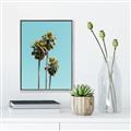 Picture of Palm Trees III _GroupedProduct_Rectangle_Portrait_Photography _GroupedProduct_Rectangle_Portrait_Canvas_Framed_