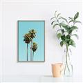 Picture of Palm Trees III _GroupedProduct_Rectangle_Portrait_Photography _GroupedProduct_Rectangle_Portrait_Canvas_Framed_