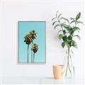 Picture of Palm Trees III _GroupedProduct_Rectangle_Portrait_Photography _GroupedProduct_Rectangle_Portrait_Canvas_Framed_