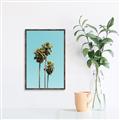 Picture of Palm Trees III _GroupedProduct_Rectangle_Portrait_Photography _GroupedProduct_Rectangle_Portrait_Canvas_Framed_