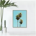 Picture of Palm Trees III _GroupedProduct_Rectangle_Portrait_Photography _GroupedProduct_Rectangle_Portrait_Canvas_Framed_