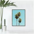 Picture of Palm Trees III _GroupedProduct_Rectangle_Portrait_Photography _GroupedProduct_Rectangle_Portrait_Canvas_Framed_