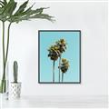Picture of Palm Trees III _GroupedProduct_Rectangle_Portrait_Photography _GroupedProduct_Rectangle_Portrait_Canvas_Framed_