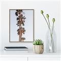 Picture of Palm Trees IV _GroupedProduct_Rectangle_Portrait_Photography _GroupedProduct_Rectangle_Portrait_Canvas_Framed_