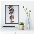 Picture of Palm Trees IV _GroupedProduct_Rectangle_Portrait_Photography _GroupedProduct_Rectangle_Portrait_Canvas_Framed_