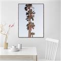 Picture of Palm Trees IV _GroupedProduct_Rectangle_Portrait_Photography _GroupedProduct_Rectangle_Portrait_Canvas_Framed_