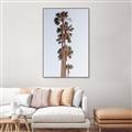 Picture of Palm Trees IV _GroupedProduct_Rectangle_Portrait_Photography _GroupedProduct_Rectangle_Portrait_Canvas_Framed_