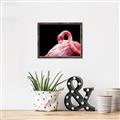 Picture of Pink in Contrast  _GroupedProduct_Rectangle_Landscape_Photography _GroupedProduct_Rectangle_Landscape_Canvas_Framed_
