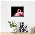 Picture of Pink in Contrast  _GroupedProduct_Rectangle_Landscape_Photography _GroupedProduct_Rectangle_Landscape_Canvas_Framed_