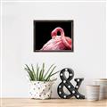 Picture of Pink in Contrast  _GroupedProduct_Rectangle_Landscape_Photography _GroupedProduct_Rectangle_Landscape_Canvas_Framed_