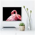 Picture of Pink in Contrast  _GroupedProduct_Rectangle_Landscape_Photography _GroupedProduct_Rectangle_Landscape_Canvas_Framed_