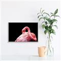 Picture of Pink in Contrast  _GroupedProduct_Rectangle_Landscape_Photography _GroupedProduct_Rectangle_Landscape_Canvas_Framed_