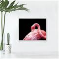 Picture of Pink in Contrast  _GroupedProduct_Rectangle_Landscape_Photography _GroupedProduct_Rectangle_Landscape_Canvas_Framed_