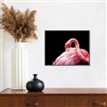 Picture of Pink in Contrast  _GroupedProduct_Rectangle_Landscape_Photography _GroupedProduct_Rectangle_Landscape_Canvas_Framed_