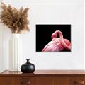 Picture of Pink in Contrast  _GroupedProduct_Rectangle_Landscape_Photography _GroupedProduct_Rectangle_Landscape_Canvas_Framed_