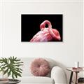 Picture of Pink in Contrast  _GroupedProduct_Rectangle_Landscape_Photography _GroupedProduct_Rectangle_Landscape_Canvas_Framed_