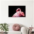 Picture of Pink in Contrast  _GroupedProduct_Rectangle_Landscape_Photography _GroupedProduct_Rectangle_Landscape_Canvas_Framed_