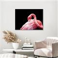Picture of Pink in Contrast  _GroupedProduct_Rectangle_Landscape_Photography _GroupedProduct_Rectangle_Landscape_Canvas_Framed_