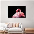 Picture of Pink in Contrast  _GroupedProduct_Rectangle_Landscape_Photography _GroupedProduct_Rectangle_Landscape_Canvas_Framed_