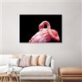 Picture of Pink in Contrast  _GroupedProduct_Rectangle_Landscape_Photography _GroupedProduct_Rectangle_Landscape_Canvas_Framed_