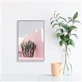 Picture of Pink Cactus II _GroupedProduct_Rectangle_Portrait_Photography _GroupedProduct_Rectangle_Portrait_Canvas_Framed_
