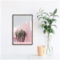 Picture of Pink Cactus II _GroupedProduct_Rectangle_Portrait_Photography _GroupedProduct_Rectangle_Portrait_Canvas_Framed_