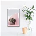 Picture of Pink Cactus II _GroupedProduct_Rectangle_Portrait_Photography _GroupedProduct_Rectangle_Portrait_Canvas_Framed_