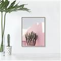 Picture of Pink Cactus II _GroupedProduct_Rectangle_Portrait_Photography _GroupedProduct_Rectangle_Portrait_Canvas_Framed_