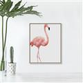 Picture of Pinkfully Perfect  _GroupedProduct_Rectangle_Portrait_Photography _GroupedProduct_Rectangle_Portrait_Canvas_Framed_