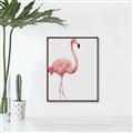 Picture of Pinkfully Perfect  _GroupedProduct_Rectangle_Portrait_Photography _GroupedProduct_Rectangle_Portrait_Canvas_Framed_