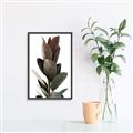 Picture of Plant Life _GroupedProduct_Rectangle_Portrait_Photography _GroupedProduct_Rectangle_Portrait_Canvas_Framed_