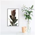 Picture of Plant Life _GroupedProduct_Rectangle_Portrait_Photography _GroupedProduct_Rectangle_Portrait_Canvas_Framed_