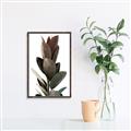 Picture of Plant Life _GroupedProduct_Rectangle_Portrait_Photography _GroupedProduct_Rectangle_Portrait_Canvas_Framed_