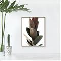 Picture of Plant Life _GroupedProduct_Rectangle_Portrait_Photography _GroupedProduct_Rectangle_Portrait_Canvas_Framed_