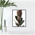 Picture of Plant Life _GroupedProduct_Rectangle_Portrait_Photography _GroupedProduct_Rectangle_Portrait_Canvas_Framed_