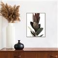 Picture of Plant Life _GroupedProduct_Rectangle_Portrait_Photography _GroupedProduct_Rectangle_Portrait_Canvas_Framed_