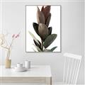 Picture of Plant Life _GroupedProduct_Rectangle_Portrait_Photography _GroupedProduct_Rectangle_Portrait_Canvas_Framed_