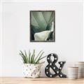 Picture of Sage Leaves  _GroupedProduct_Rectangle_Portrait_Photography _GroupedProduct_Rectangle_Portrait_Canvas_Framed_